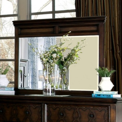 Furniture of America Minerva Transitional Mirror Solid with Wood Walnut Mirror Model CM7839M