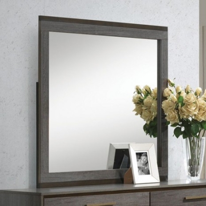 Furniture of America Manvel Contemporary Leatherette Solid with Wood Paper Veneer Two-Tone Antique Gray Mirror Model CM7867M