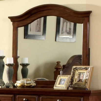 Furniture of America Palm Coast Cottage Mirror Solid with Wood Veneer Light Walnut Mirror Model CM7888M