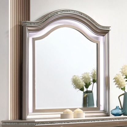 Furniture of America Allie Contemporary Solid with Wood Rose Gold Mirror Model CM7901RG-M