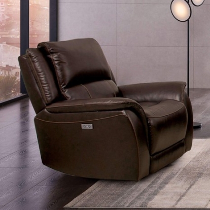 Furniture of America Gorgius Transitional Top Grain Leather Match Solid with Wood Espresso Power Recliner Model CM9910ES-CH-PM