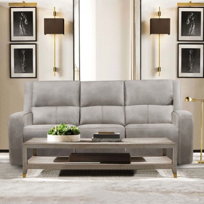 Furniture of America Vasilios Transitional Breathable Leatherette Solid with Wood Taupe Power Sofa Model CM9914ST-SF-PM