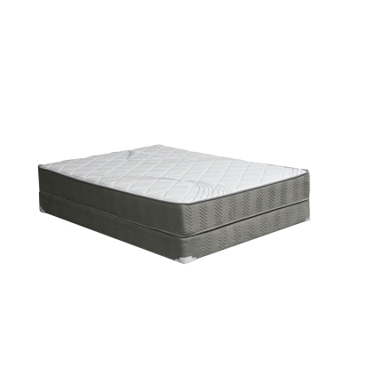 Edrea White/Gray 10" Tight Top Pocket Coil Model DM336CK-M by Furniture of America