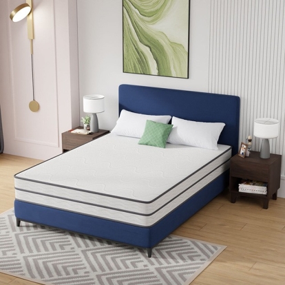 Furniture of America Catmint Contemporary Metal White-Gray Mattress Model DM910