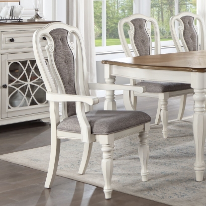 ACME Florian Arm Chair (Set-2) Model DN01655