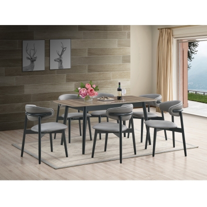ACME Lanae Side Chair (Set-2) Model DN02365