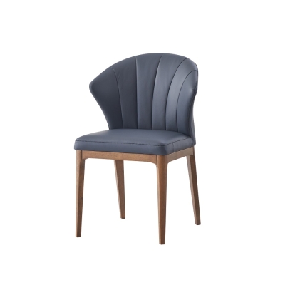 ACME Seraphyne Side Chair (Set-2) Model DN02402