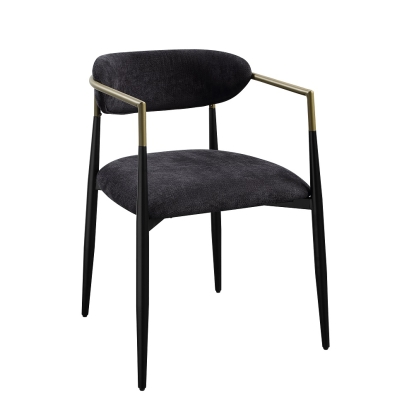 ACME Jaramillo Side Chair (SET-2) Model DN02696