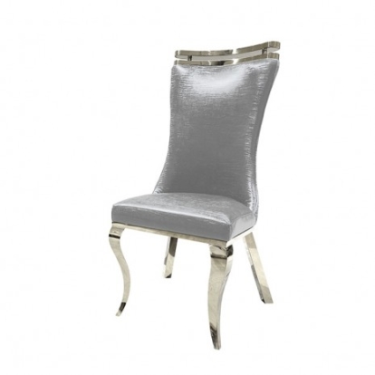 Furniture of America Palazzo Glam Fabric Foam Stainless Steel Silver Silver Chair (2-Ctn) Model FM33010SV-SC-2PK