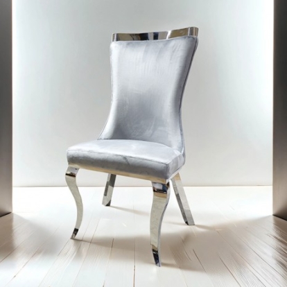 Furniture of America Basilicata Glam Fabric Foam Stainless Steel Gray Chair Silver-Gray (2-Ctn) Model FM33012GY-SC-2PK