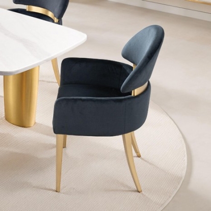 Furniture Of America Northall Contemporary Fabric, Foam, Stainless Steel Black/Gold Arm Chair (2/Ctn) | FM37005BK-AC-2PK
