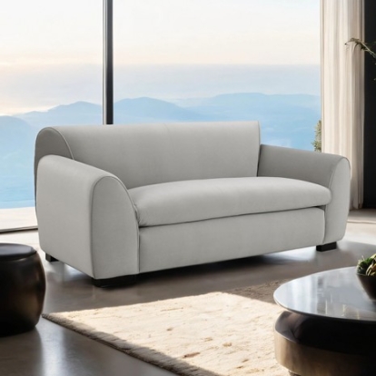 Furniture Of America Severo Contemporary Foam, Velvet, Solid Wood, Others Light Gray Loveseat | FM61005LG-LV