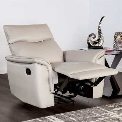 Furniture of America Bienne Transitional Leather Match Metal Taupe Recliner Chair Model FM69002TP-CH-M