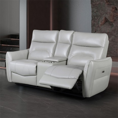 Furniture of America Terentius Contemporary Engineered with Wood High Density Foam Leather Match Pocket Coil Spring Sinuous Spring And Webbing Suspension Tropical Hardwood Tropical Hardwood Taupe Power Loveseat Model FM69006TP-LV-PM