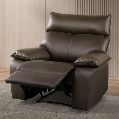 Furniture of America Onoria Contemporary Engineered with Wood High Density Foam Leather Match Pocket Coil Spring Tropical Hardwood Tropical Hardwood Brown Manual Recline Chair Model FM69008BR-CH-M