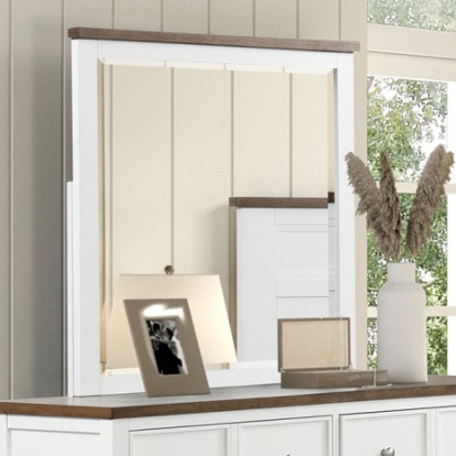 Furniture of America Pinetop Modern Farmhouse Birch Veneer Engineered with Wood Metal Pinewood White-Dark Brown Mirror Model FM7171WH-M