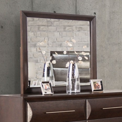 Furniture of America Hinwitz Transitional Solid with Wood Espresso Mirror Model FM7399ES-M