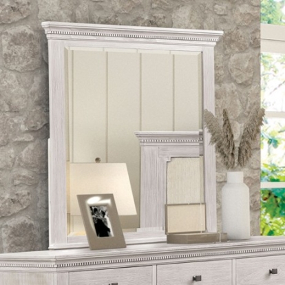 Furniture of America Swanley Transitional Elm Veneer Engineered with Wood Metal Solid with Wood Weathered Gray Mirror Model FM7707GY-M