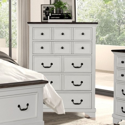 Furniture of America Hampstead Modern Farmhouse Engineered with Wood Veneer Solid with Wood White-Dark Brown Chest Model FM79014WH-C
