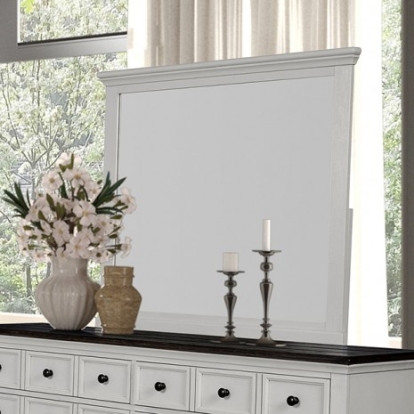 Furniture of America Hampstead Modern Farmhouse Engineered with Wood Veneer Solid with Wood White Mirror Model FM79014WH-M