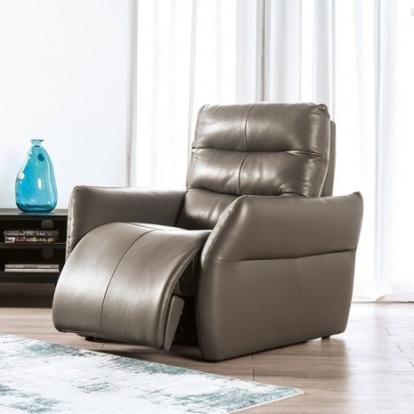 Furniture of America Granucci Gray Gray Engineered with Wood Real Italian Leather Power Recliner Model FM90007GY-CH-PM
