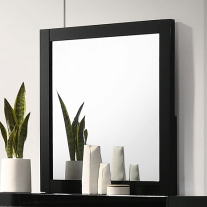 Furniture of America Magdeburg Contemporary Solid with Wood Veneer Black Mirror Model FOA7038BK-M