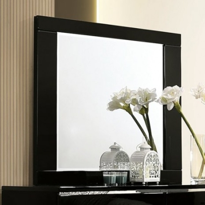 Furniture of America Carlie Contemporary Solid with Wood Veneer Black Mirror Model FOA7039M