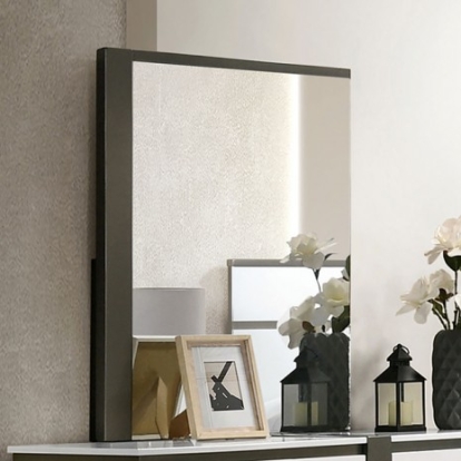 Furniture of America Birsfelden Contemporary Solid with Wood Veneer White-Metallic Gray Mirror Model FOA7225WH-M