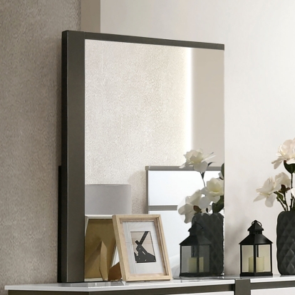 Birsfelden Metallic Gray Mirror Model FOA7225WH-M by Furniture of America