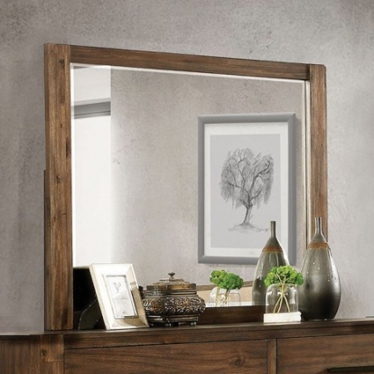 Furniture of America Coney Transitional Solid with Wood Veneer Walnut Mirror Model FOA7881M