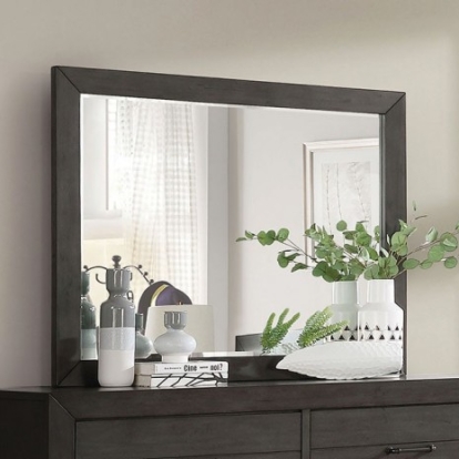 Furniture of America Sligo Transitional Solid with Wood Veneer Dark Gray Mirror Model FOA7893M