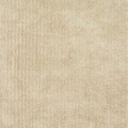Furniture Of America Zala Shag Contemporary 100% Polyester Beige Medium Area Rug | RG6001M