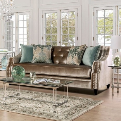 Furniture of America Elicia Transitional Chenille Solid with Wood Champagne-Turquoise Sofa Model SM2685-SF