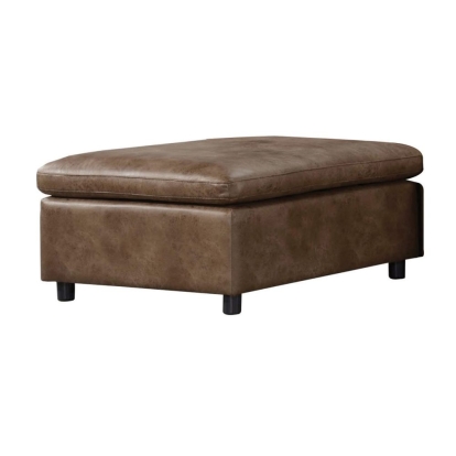 ACME Audrey Ottoman Model 55103