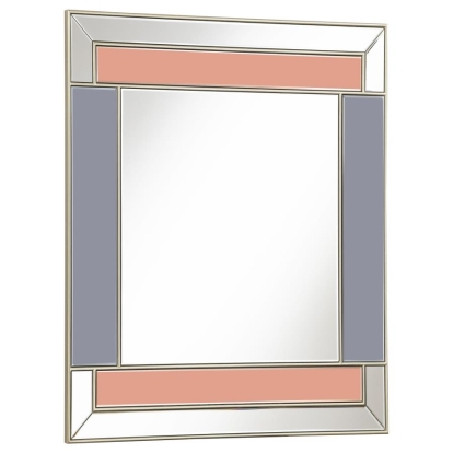 Coaster Braylin Rectangular Wall Mirror Champagne and Grey Model 962907