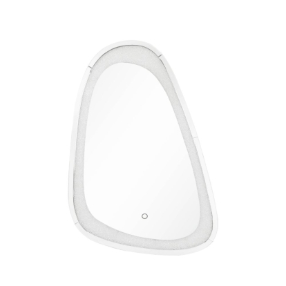 ACME Noralie Accent Mirror With Led Model 97708