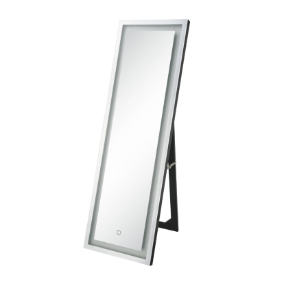 ACME Dominic Floor Mirror With Led Model 97714