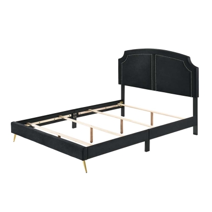ACME Zeena Queen Bed Model BD01176Q