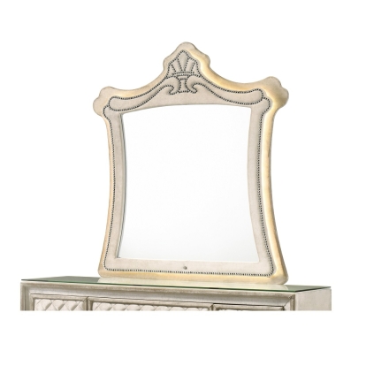 ACME Lucienne Mirror With Led Model BD02337