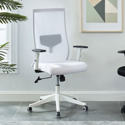 Orli White Office Chair Model CM-FC656WH-L by Furniture of America