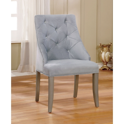 Diocles Transitional Silver/Gray Side Chair (Set of 2) Model CM3020SC-2PK by Furniture of America