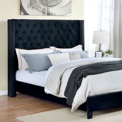 Furniture of America Ryleigh Transitional Velvet-Like Solid with Wood Black Bed Model FM7141BK-Queen Bed