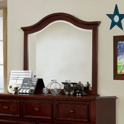 Furniture of America Olivia Traditional Solid with Wood Veneer Dark Walnut Mirror Model CM7155EX-M