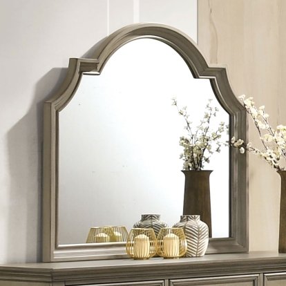 Lasthenia Antique Warm Gray Mirror Model CM7181M by Furniture of America