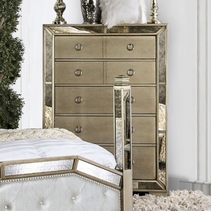Furniture of America Loraine Glam Mirror Resin Solid with Wood Champagne Chest Model CM7195C