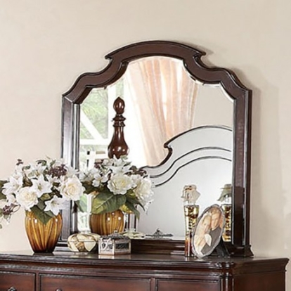 Furniture of America Devonshire Traditional Solid with Wood Veneer Brown Cherry Mirror Model CM7265M