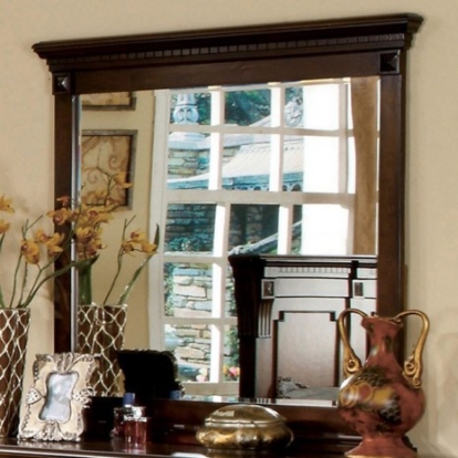 Furniture of America Fortrose Traditional Solid with Wood Veneer Antique Dark Oak Mirror Model CM7280M