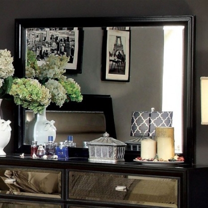 Furniture of America Golva Contemporary Mirror Solid with Wood Veneer Black-Gold Mirror Model CM7295M