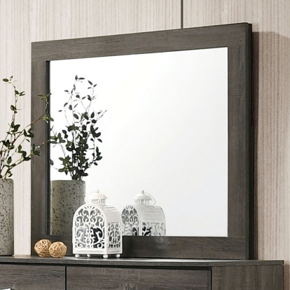 Richterswil Gray Mirror Model CM7415M by Furniture of America