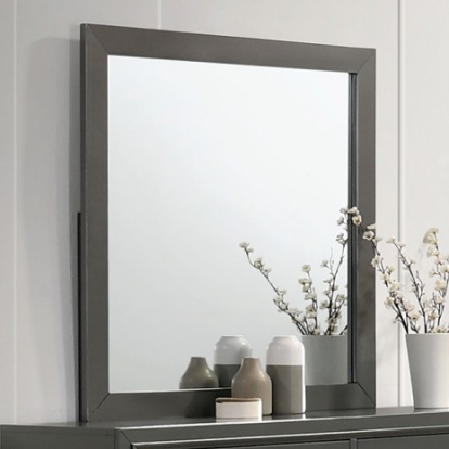 Furniture of America Alison Contemporary Solid with Wood Metallic Gray Mirror Model CM7416GY-M